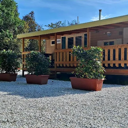 Comfortable Campsite-chalet G14 Tuscany Near Sea
