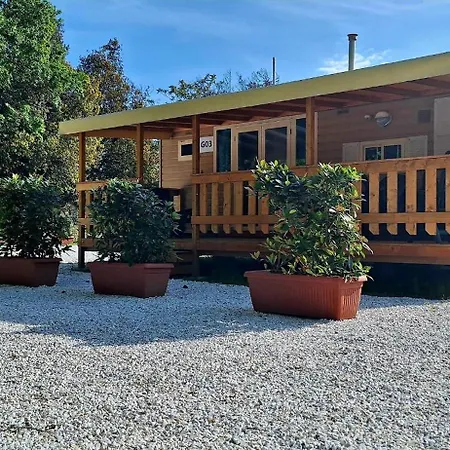 Comfortable Campsite-chalet G14 Tuscany Near Sea