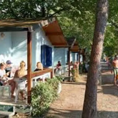 Comfortable Campsite-chalet G14 Tuscany Near Sea Chalet