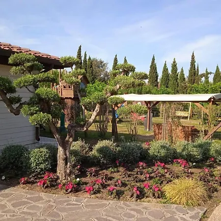Chalet Comfortable Campsite-chalet G14 Tuscany Near Sea