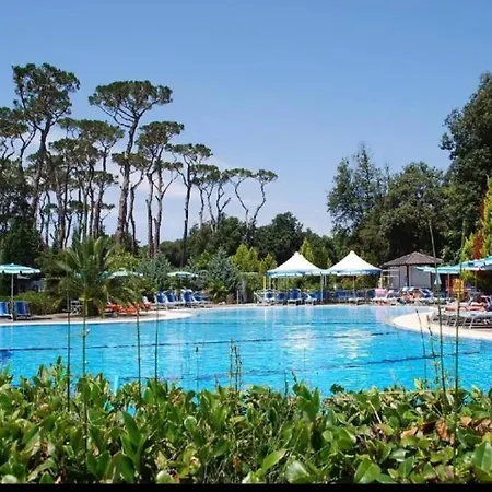 Comfortable Campsite-chalet G14 Tuscany Near Sea Viareggio