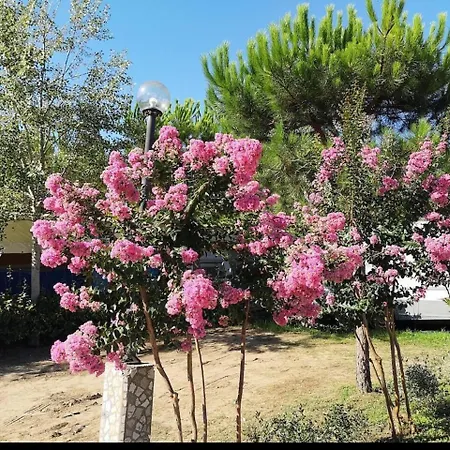 Chalet Comfortable Campsite-chalet G14 Tuscany Near Sea