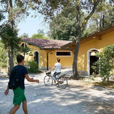 Comfortable Campsite-chalet G14 Tuscany Near Sea Шале В'яреджо