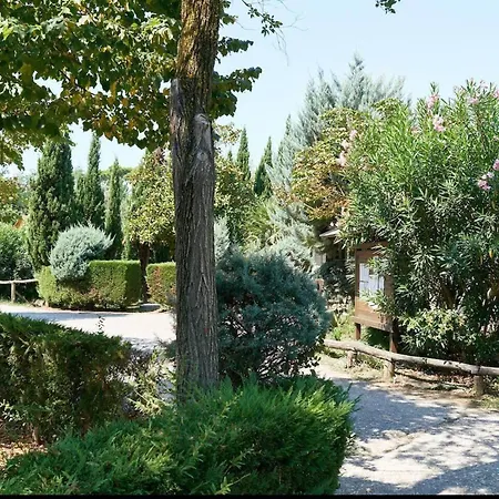 Chalet Comfortable Campsite-chalet G14 Tuscany Near Sea *